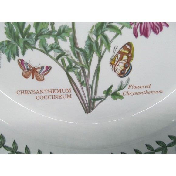 Portmeirion Chrysanthemum And Lonicera Set Of 2 Floral 10 1/2" Dinner Plates VGC - Picture 2 of 13